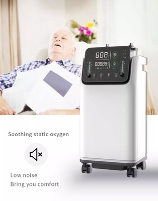 LED ডিসপ্লে সহ সামঞ্জস্যযোগ্য 10L অক্সিজেন কনসেনট্রেটর জেনারেটর সরঞ্জাম